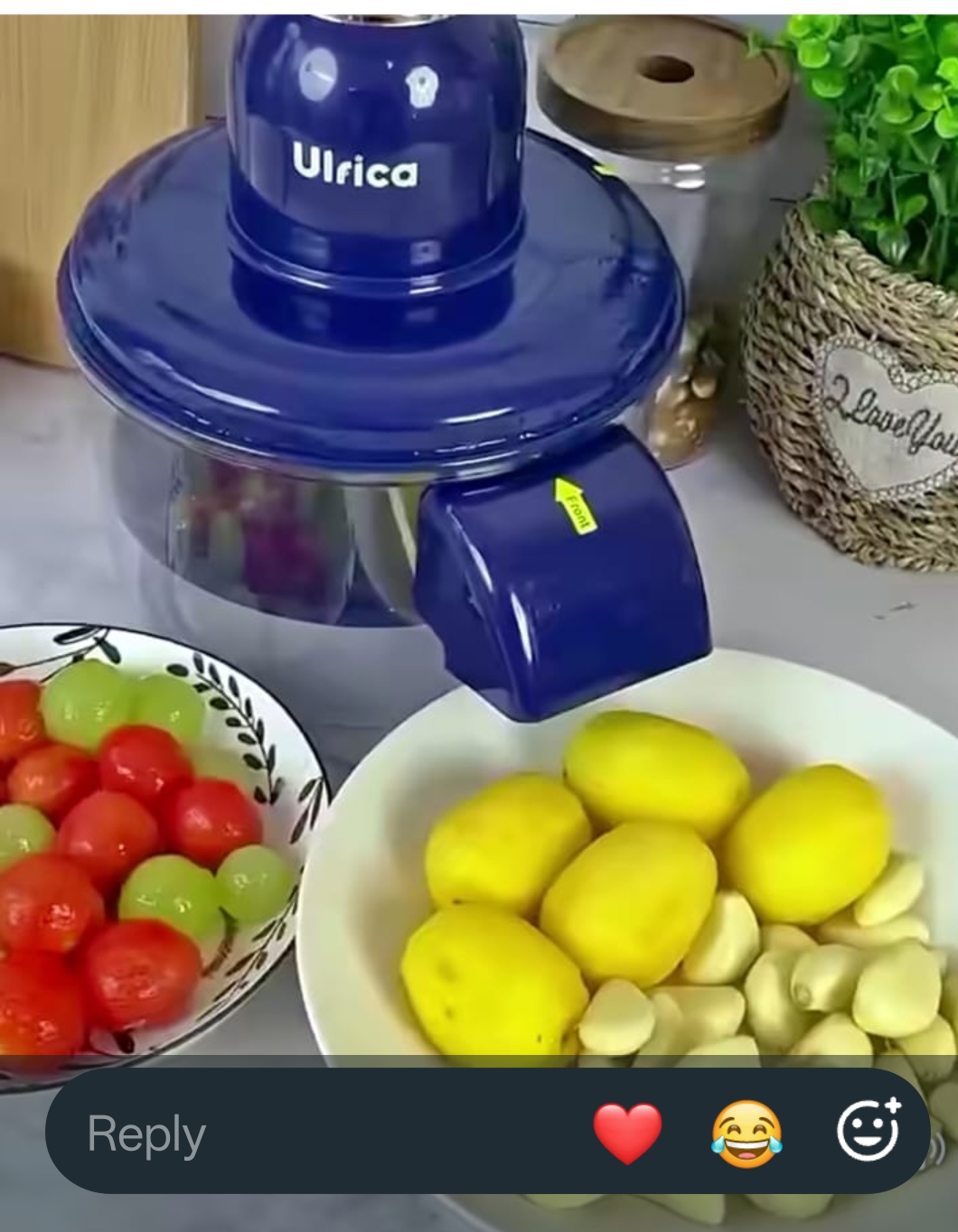 Electric Fruit & Vegetable Peeler